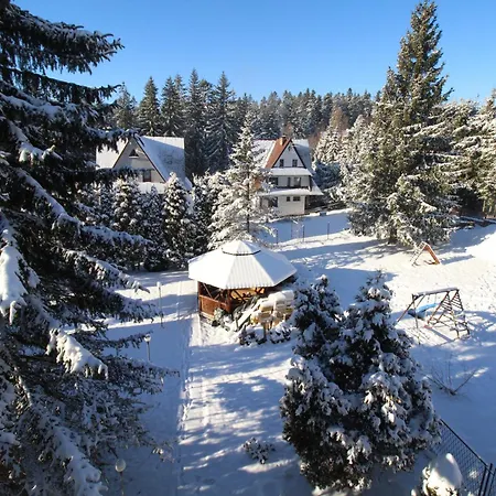 Mountain Dream Apartment Koscielisko